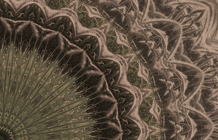 alameda estuary grasses (sepia)